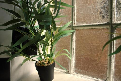 a plant sitting on a table next to a window at 't Lytse Knipke in Lemmer