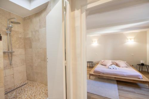 a bedroom with a shower and a bed in a room at L'antiquaire - 3 chambres - Hypercentre - Wifi in LʼIsle-sur-la-Sorgue