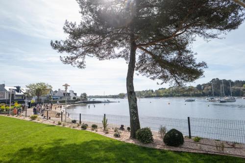 a tree in a park next to a body of water at Best Western Plus Le Roof Vannes Bord de Mer in Vannes