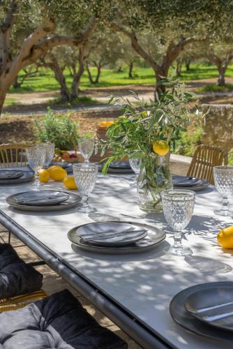 Κήπος έξω από το The Olive Grove Villas with large swimming pool
