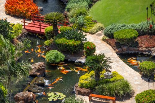 a garden with a pond with kites in it at Ko Olina Beach Villas O1004 in Kapolei