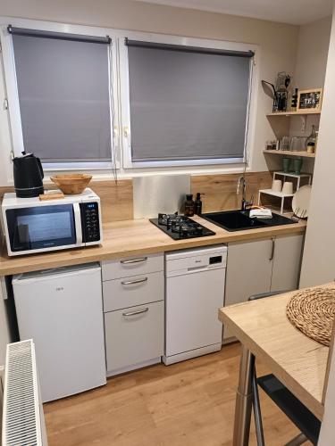 - une cuisine avec des appareils électroménagers blancs et 2 fenêtres dans l'établissement Appartement l'Embarcadère, à Boulogne-sur-Mer