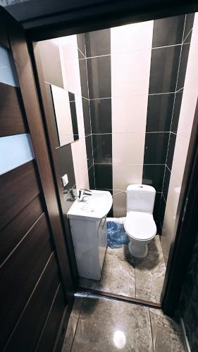 a small bathroom with a toilet and a sink at Pałac Dąbrowa in Dąbrowa Górnicza