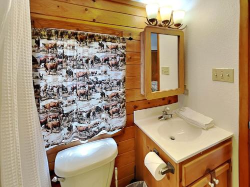 y baño con aseo, lavabo y espejo. en Moose Manor, 3 Bedrooms, Sleeps 8, Wood Stove, Gas Grill, WiFi, en Ruidoso