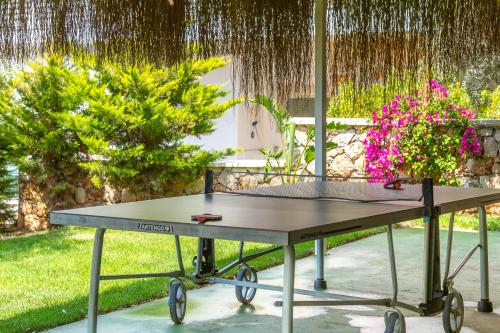 Instalaciones para jugar al ping pong en Villa La Mer o alrededores