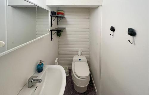 La petite salle de bains est pourvue de toilettes et d'un lavabo. dans l'établissement Cozy Home In Hkerum With Kitchen, à Hökerum
