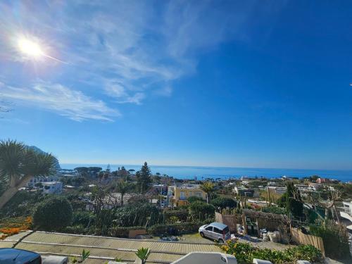 a view of a city with the ocean in the background at Residence Limoneto Ischia in Ischia