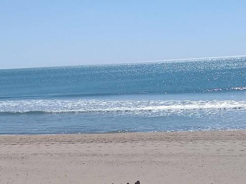 Appartement 2 pièces avec accès direct plage, terrasse et parking - FR-1-387-146