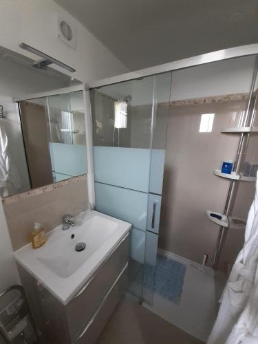 une salle de bain avec un lavabo et une douche avec un miroir dans l'établissement La Clef des Champs, à Bruille-lez-Marchiennes