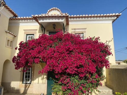 ein Gebäude mit rosa Blumen davor in der Unterkunft Charming house close to Sintra in São Martinho