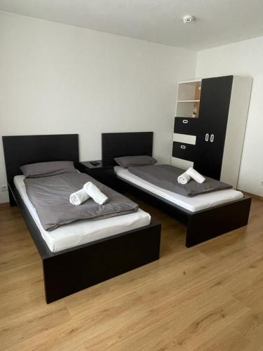 two twin beds in a room with a mirror at Renoviert, modern und ruhig in Nuremberg