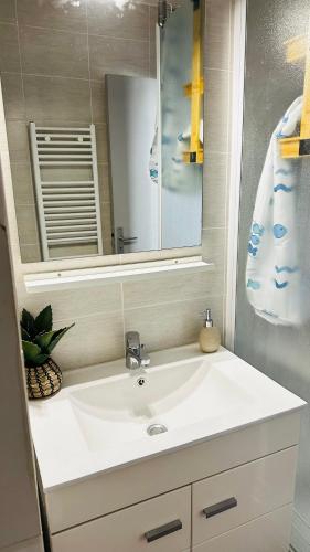 une salle de bain avec un lavabo blanc et un miroir dans l'établissement Studio Saint-Cyprien Port, à Saint-Cyprien