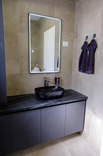 Premium Holiday house VILA OAZA with Pool