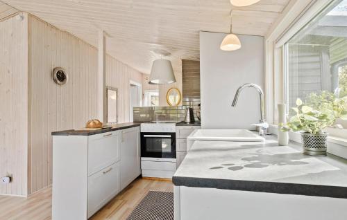 Køkken eller tekøkken på 1 Bedroom Stunning Home In Jgerspris