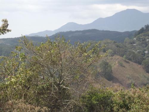 Paisaje cerca de este hotel