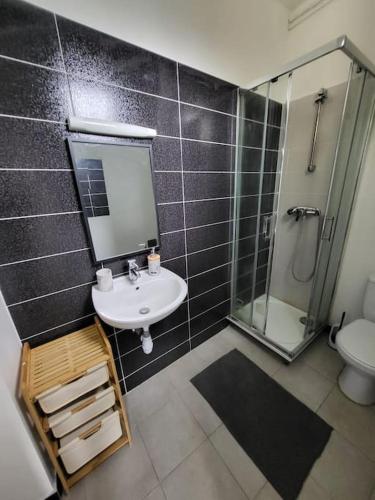 a bathroom with a sink and a shower and a toilet at Superbe studio centre-ville in Drancy