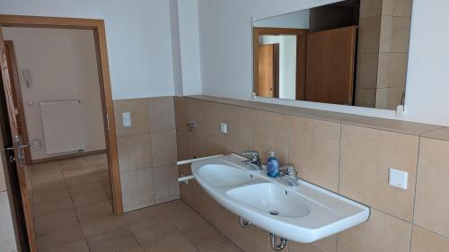 een badkamer met een wastafel en een spiegel bij Ferienwohnungen Lehnerwirt in Breitenbrunn