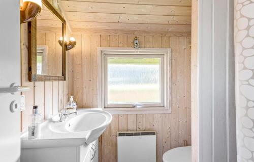 een badkamer met een wastafel en een raam bij Awesome Home In Svendborg With Kitchen in Svendborg