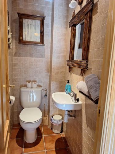 a small bathroom with a toilet and a sink at BUENAVISTA LUXURY in Sierra Nevada