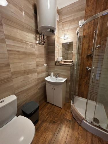 カルパチにあるApartamenty Classico na deptakuのバスルーム(トイレ、洗面台、シャワー付)