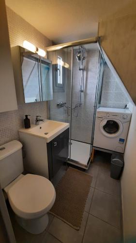 une salle de bain avec toilettes, douche et lavabo dans l'établissement Appartement 2 pièces mezzanine avec piscine, au Cap d'Agde