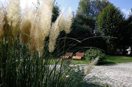 a bench in a park with tall grass at Hotel Bayerischer Hof Miesbach, BW Premier Collection in Miesbach