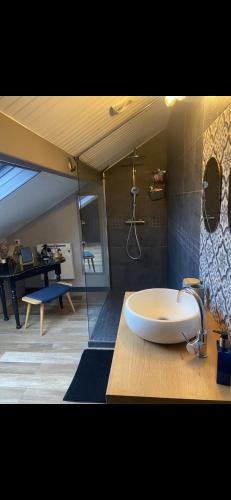 baño con lavabo blanco en la encimera en Maison conviviale de caractère, en Colombes