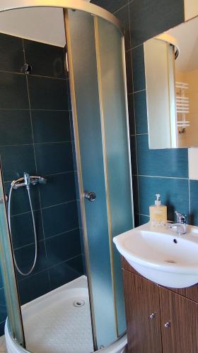 a bathroom with a shower and a sink at Henrix in Warsaw
