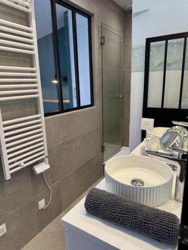 a bathroom with a sink and a shower at Le bijou des carmes - Haut de gamme climatisé in Toulouse