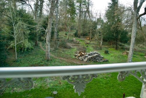 a view of a forest with a pile of logs at YXIE - Manoir des Arts in Villeblevin