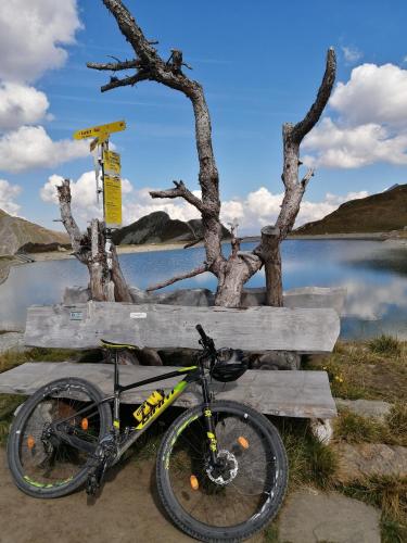 a bike parked in front of a bench next to a lake at Ferienhof zur Sonne in Tux