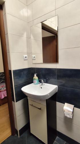 a bathroom with a sink and a mirror at Henrix in Warsaw
