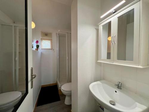 ein weißes Bad mit einem WC und einem Waschbecken in der Unterkunft cocon de Villeneuve-4 pers. in Villeneuve-sur-Yonne