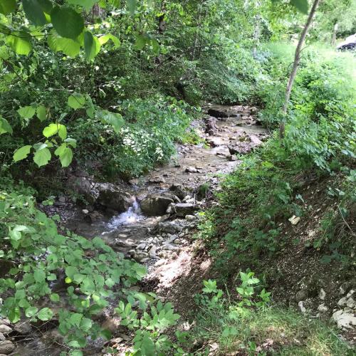 a creek in the middle of a forest at Les Vagabonds du Mont in Chichilianne