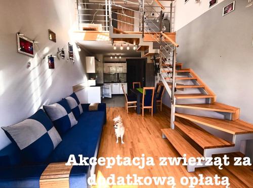 a living room with a blue couch and a staircase at My Universe Antresola Tęczowe Wzgórze in Wisła