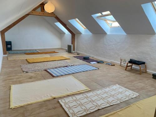 een zolderkamer met dakramen en matten op de vloer bij YXIE - Manoir des Arts in Villeblevin