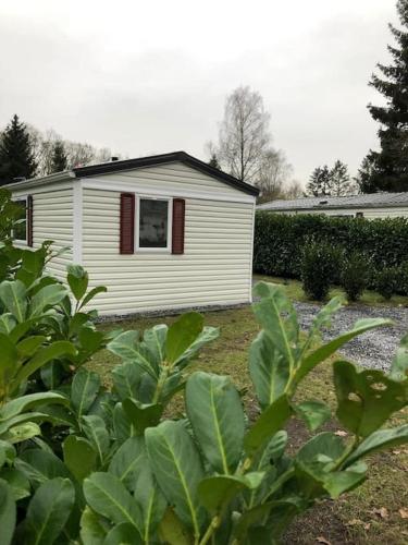 a white house with a window in a yard at Knus chalet in de bossen van Epe met fietsen in Epe