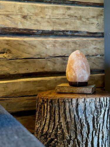 a rock sitting on top of a wooden stump at PLŪSME Restart House in Lielstraupe