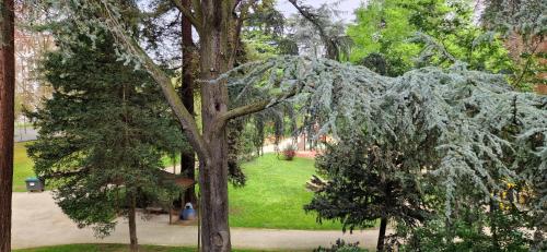 un arbre dans un parc avec des gens assis sur l'herbe dans l'établissement T2 idéal JO, à Villejuif