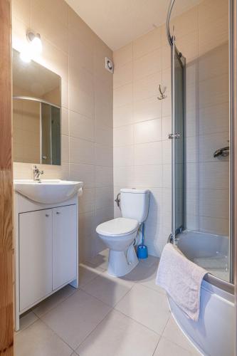 a bathroom with a toilet and a sink and a shower at Dworek pod Tatrami in Ząb