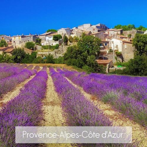 a field of purple flowers in front of a town at Céline et Alain, mobil Home cosy in La Roque-dʼAnthéron