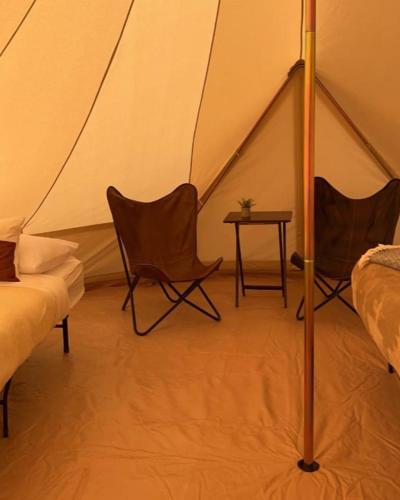 a tent with two chairs and a table in a room at Grand Canyon Glamping in Valle