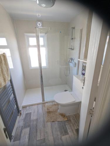 a small bathroom with a shower and a toilet at Colins holiday home in Hull