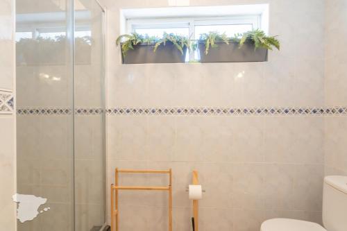 een badkamer met een douche en potplanten aan de muur bij Villa Sardonyx CostaBlancaDreams in Calpe