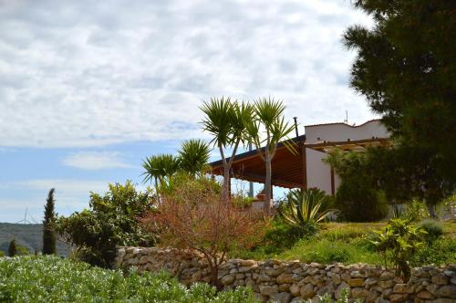 Táj Show holiday homes közelében