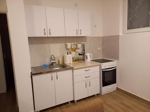 Kuchyň nebo kuchyňský kout v ubytování Apartman DUDA Surčin
