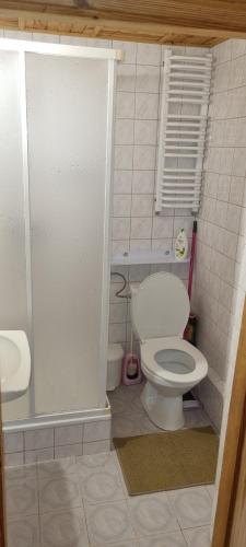 a small bathroom with a toilet and a sink at Noclegi u Ewusi 2 in Januszowice