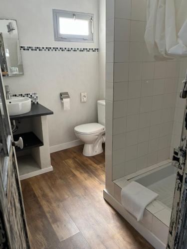 La salle de bains est pourvue de toilettes, d'un lavabo et d'une douche. dans l'établissement Hôtel Paradis, à Bormes-les-Mimosas