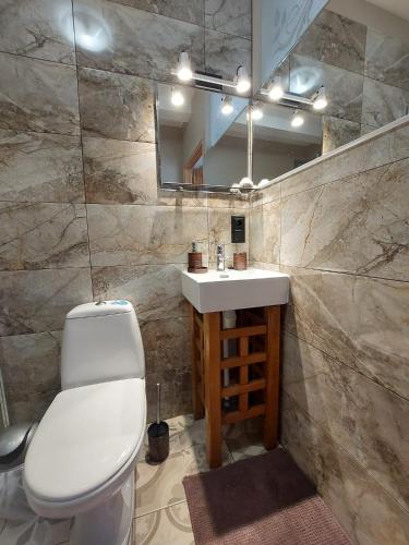 een badkamer met een toilet, een wastafel en een spiegel bij Gustiņi in Baltezers