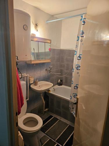 a bathroom with a toilet and a sink at Apartman NINA in Kuršumlija